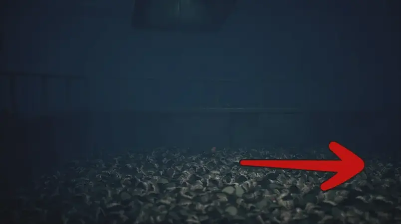 Piscina llena de dentaduras